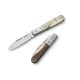 LionSteel Roundhead Barlow - Ram Horn