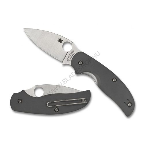 Spyderco Sage 1 Maxamet