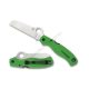 Spyderco Atlantic Salt Green LC200N